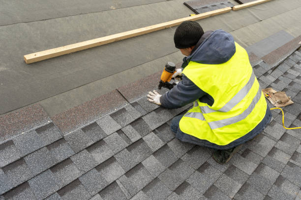 Best Roof Gutter Cleaning  in Cobden, IL