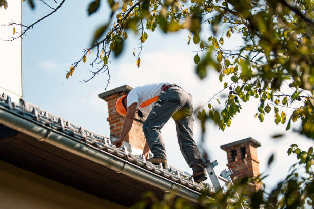 Roof Gutter Cleaning in Cobden, IL