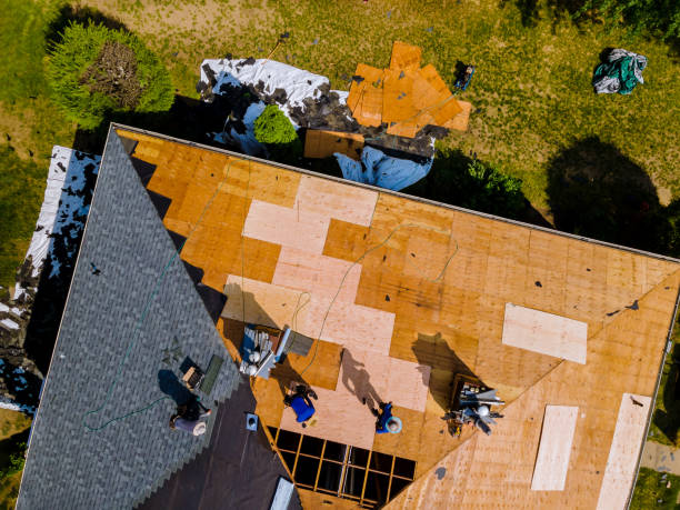 Best Roof Maintenance Services  in Cobden, IL