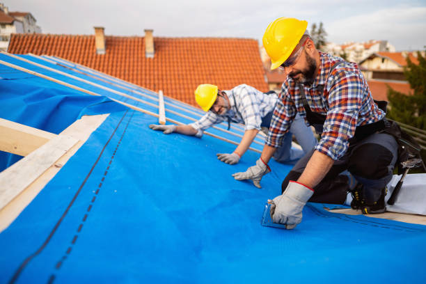 Best New Roof Installation  in Cobden, IL