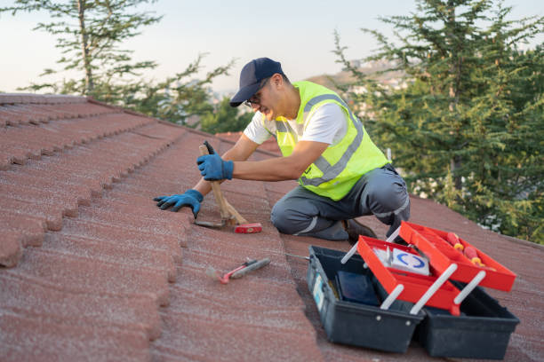 Best Roof Waterproofing Services  in Cobden, IL