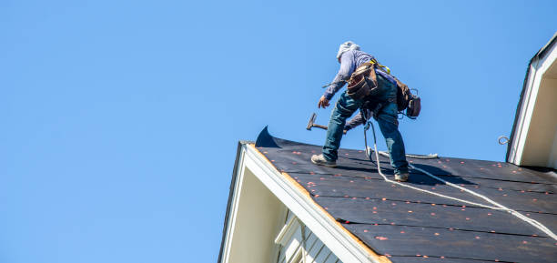 Best Roof Leak Repair  in Cobden, IL